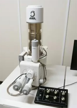 走査電子顕微鏡エネルギー分散形X線分析装置付き/JSM-IT100LV EDS検出器付き（日本電子株式会社）